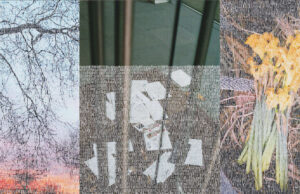 Tien must sees: Scarlet Griffiths’ ‘Scratch’ in de Allotment Gallery